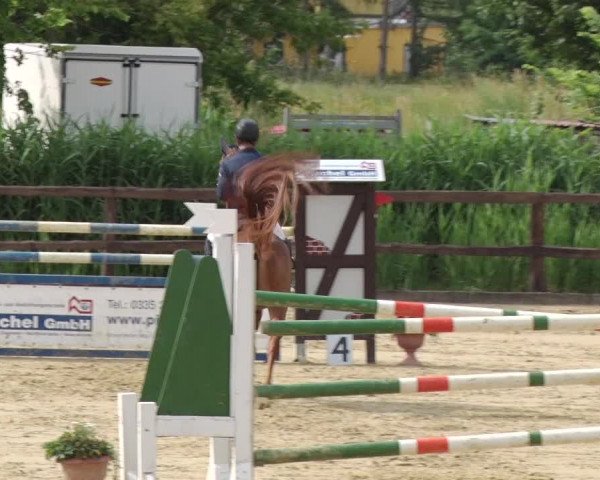 Reitturnier Schönfeld 2018