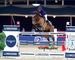 jumper Balance 26 (Oldenburg show jumper, 2004, from Baloubet du Rouet)