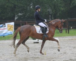 broodmare Melli's Jana del Ray (German Riding Pony, 2013, from Da Vinci Hs)