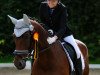 dressage horse Escada 293 (KWPN (Royal Dutch Sporthorse), 2009, from Spielberg)