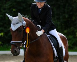 dressage horse Escada 293 (KWPN (Royal Dutch Sporthorse), 2009, from Spielberg)