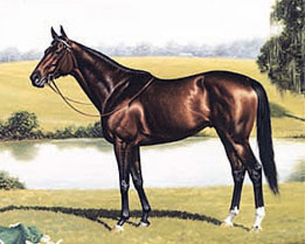 stallion L'Enjoleur xx (Thoroughbred, 1972, from Buckpasser xx)