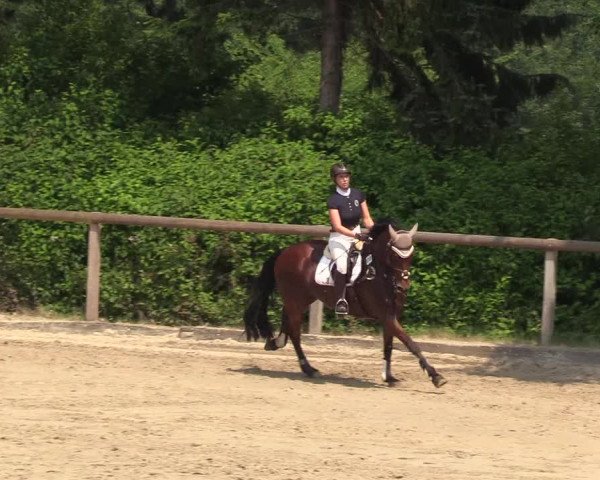 Reitturnier Erkrath - Uhlenhof 2018