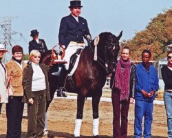 broodmare Rosengirl (Hanoverian, 2001, from Rotspon)