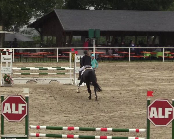 Reitturnier Fröndenberg 2018
