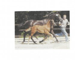 broodmare Caprice (Oldenburg, 2000, from Rubinstein I)