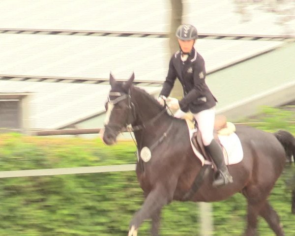 Reitturnier Fröndenberg 2018