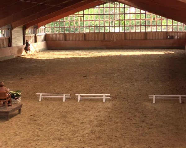 Reitturnier Fröndenberg 2018