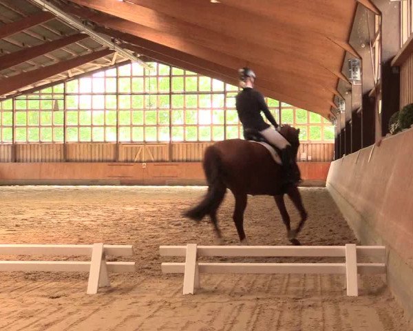 Reitturnier Fröndenberg 2018