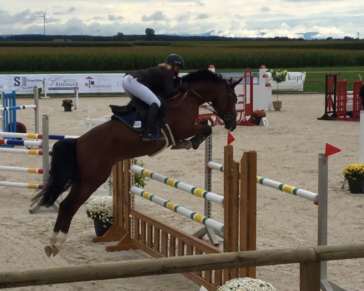 jumper Captain Codiak (Westphalian, 2011, from Captain Fire)