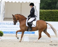 broodmare Grace Kelly (German Riding Pony, 2013, from HET Golden Dream)