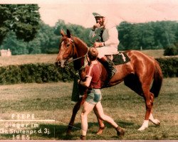 broodmare Fiepe xx (Thoroughbred, 1982, from Zigeunersohn xx)