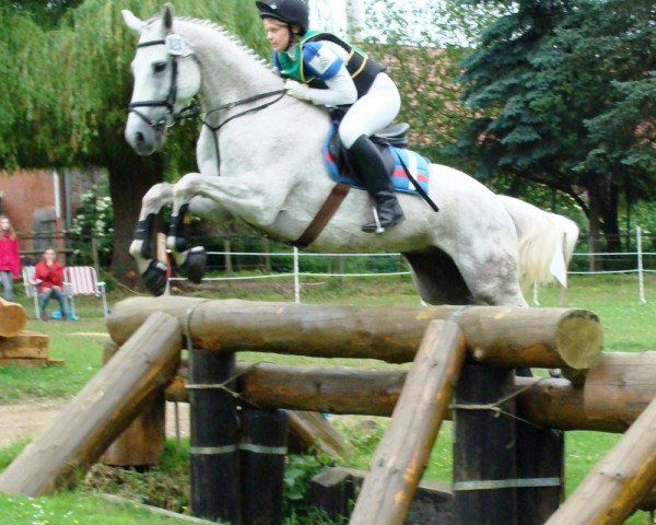 horse Wotan B (Hanoverian, 2000, from Welser)