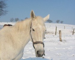 broodmare Filipena xx (Thoroughbred, 1987, from Jarabub xx)