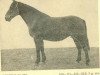 broodmare Gārsene (Latvian Warmblood, 1947, from Gotenfirsts)