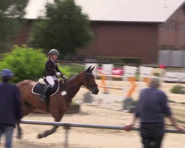 Reitturnier Coesfeld/Lette 2018