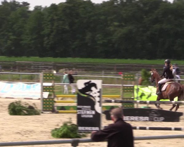 Reitturnier Coesfeld/Lette 2018
