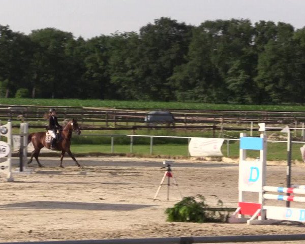 Reitturnier Coesfeld/Lette 2018