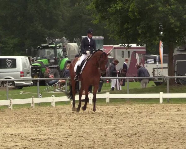 Reitturnier Coesfeld/Lette 2018