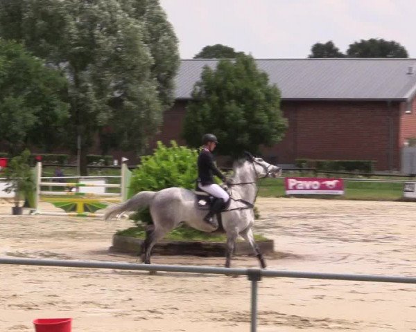 Reitturnier Coesfeld/Lette 2018