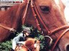 jumper Mon Amie 74 (Akhal-Teke, 1997, from Mangold)