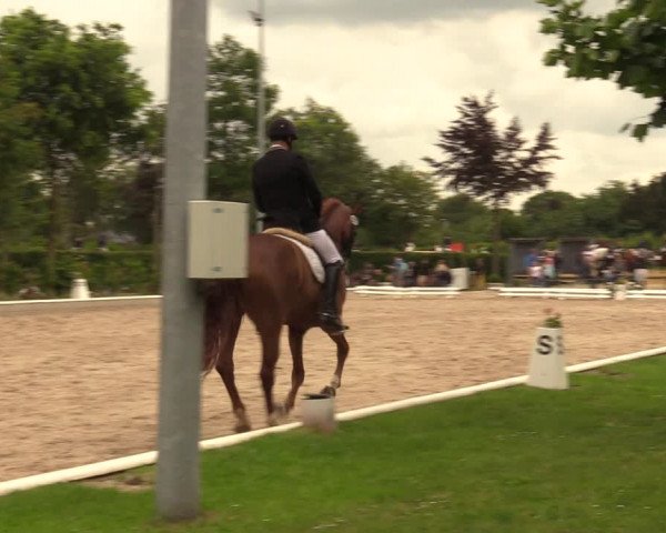 Reitturnier Fröndenberg 2018