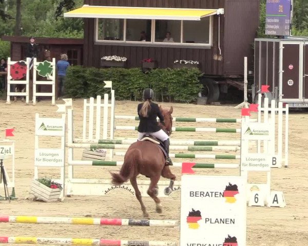 Reitturnier Fröndenberg 2018