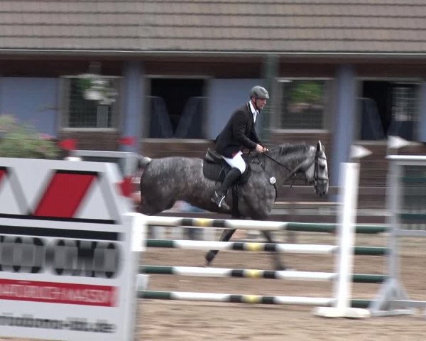 Reitturnier Alt Zeschdorf 2018