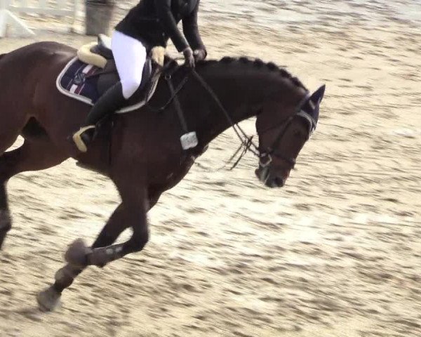 Reitturnier Fröndenberg 2018