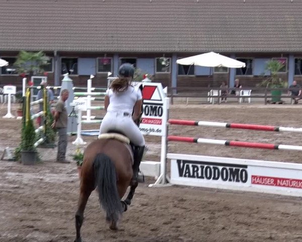 Reitturnier Alt Zeschdorf 2018