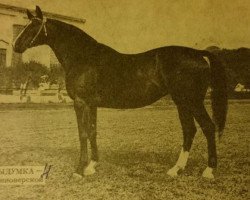 broodmare Vidumka (Hanoverian, 1982, from Walerik)