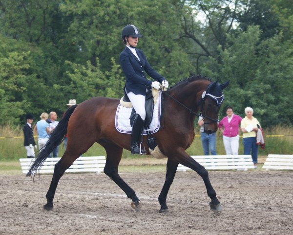 dressage horse Lord Thello (Bavarian, 1996, from Lorthello B)
