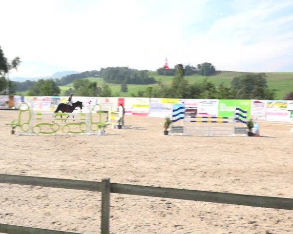 Rottaler Pferdesporttage Buholz 2018