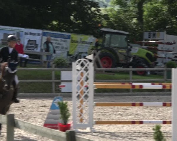 Rottaler Pferdesporttage Buholz 2018