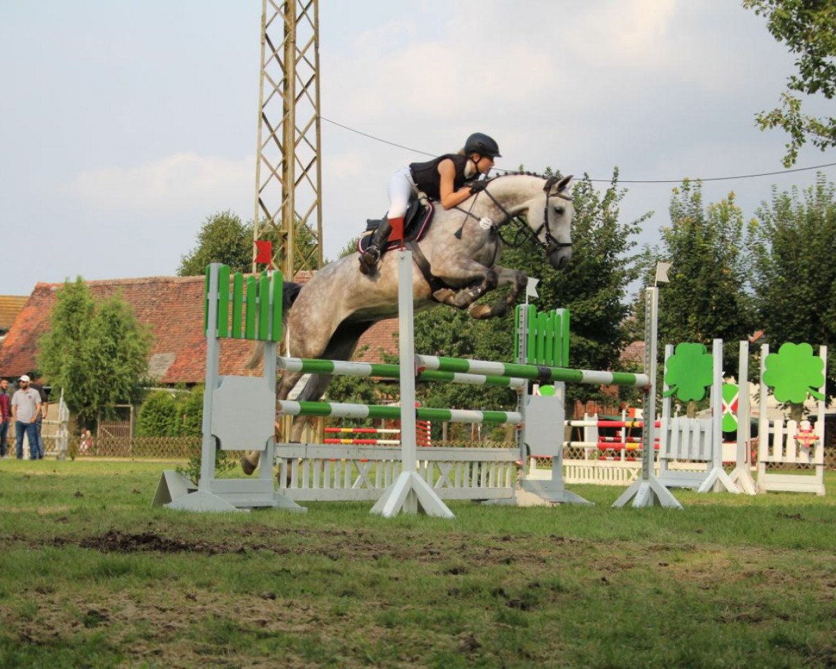 broodmare Colina 64 (German Sport Horse, 2010, from Colestus)