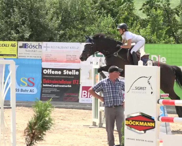Rottaler Pferdesporttage Buholz 2018