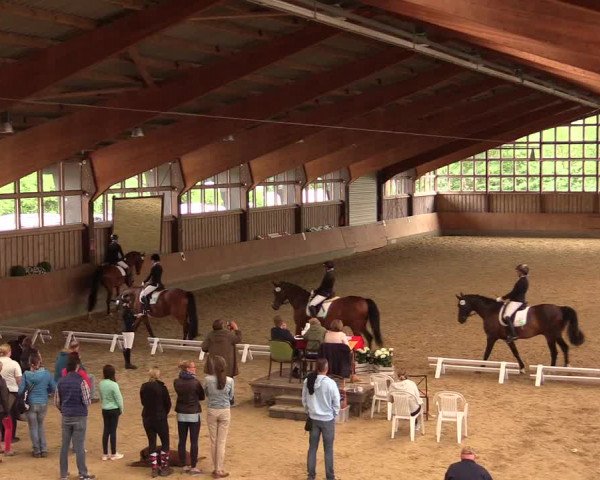 Reitturnier Fröndenberg 2018