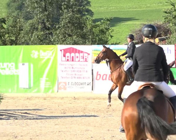 Rottaler Pferdesporttage Buholz 2018