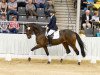 dressage horse Lilly (Hanoverian, 2013, from Lemony's Nicket)