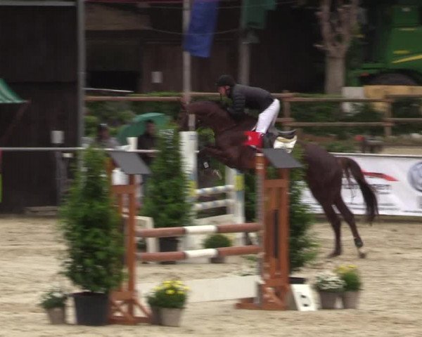 Reitturnier Schwerte-Gut Kückshausen 2018