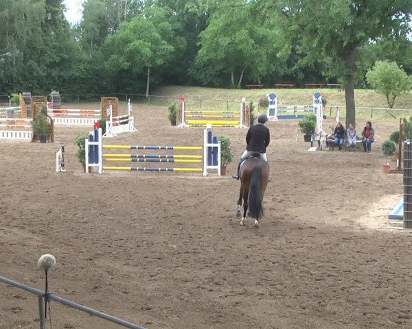 Reitturnier Wiesloch 2018