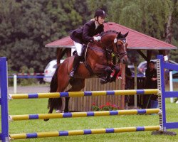 stallion Schirocco (German Riding Pony, 2007, from Blokland's Hoeve's Mr. Silvano)