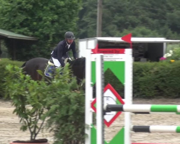 Leverkusener Reitertage - Teitscheider Hof 2018