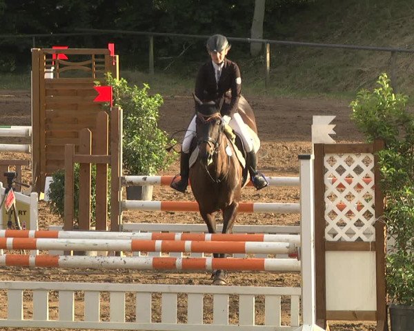 Reitturnier Wiesloch 2018