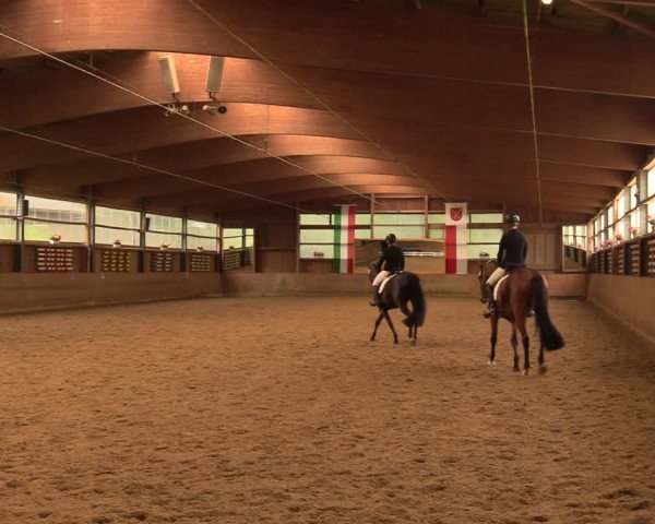 Reitturnier Schwerte-Gut Kückshausen 2018