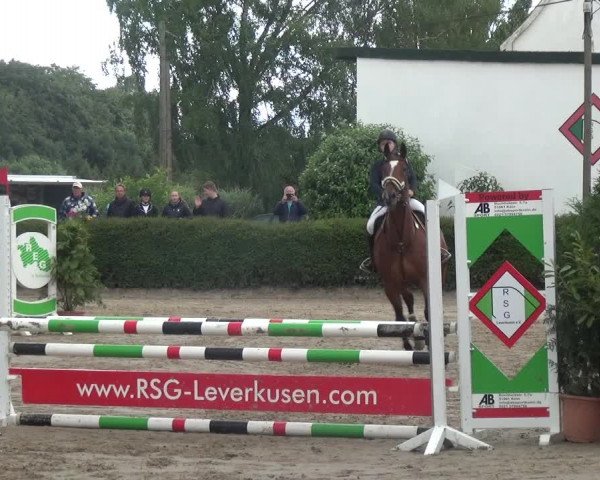 Leverkusener Reitertage - Teitscheider Hof 2018