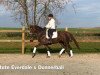 dressage horse Esperanza 99 (Rhinelander, 2014, from Everdale)