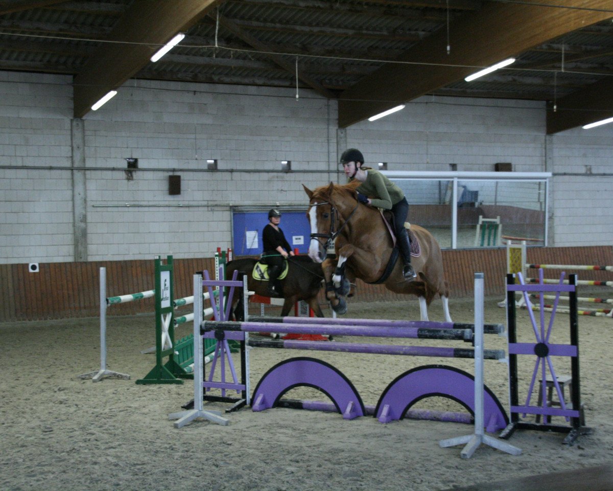 Springpferd Superio D'Acheronte (Italienisches Warmblut, 2007, von Lord Z)
