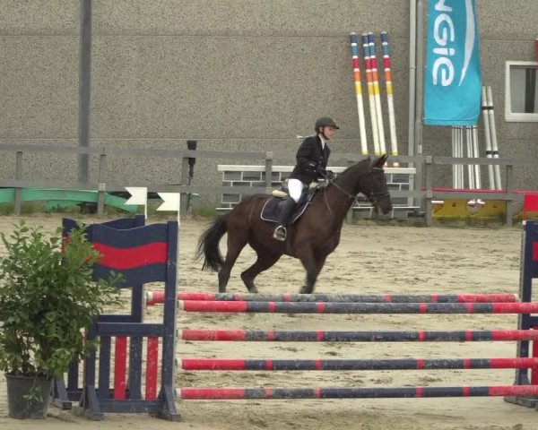 Reitturnier Kalenborn Hegehof 2018