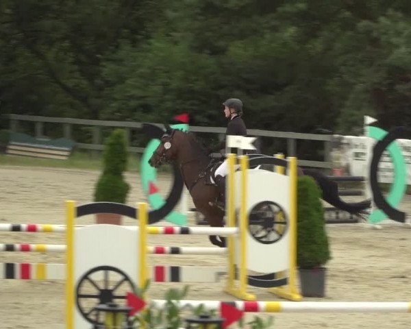 Reitturnier Kalenborn Hegehof 2018